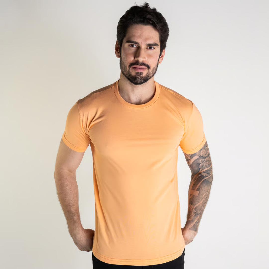 Kit 2 Basic RL T-Shirts
